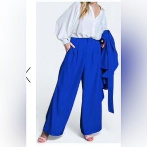 Express Blue Wide Leg Pants